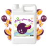 Passion Fruit Syrup (Premium)