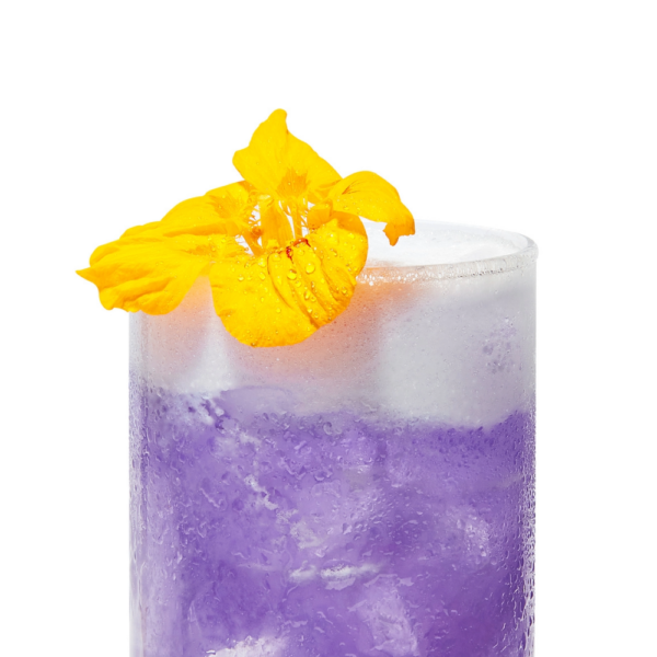 Pure Ube Powder (Beverage) | NEW - Image 9